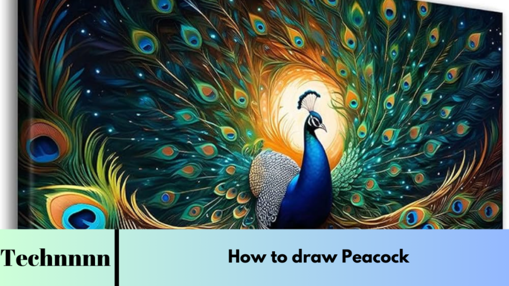 How to draw Peacock How to draw Peacock 2024