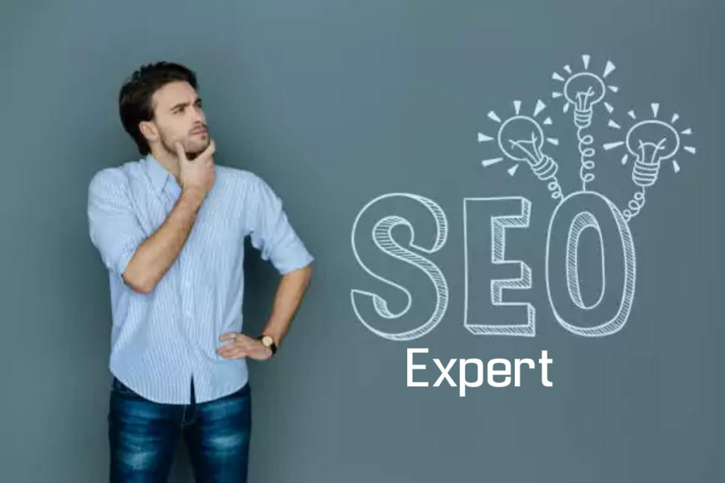 How to Choose the Best SEO Expert in India for Rapid Growth
